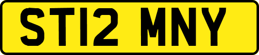 ST12MNY