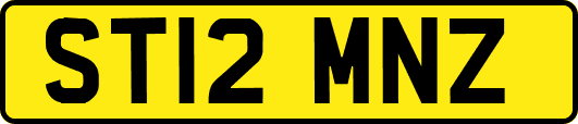 ST12MNZ