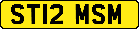 ST12MSM