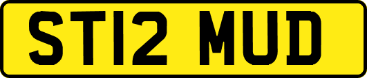ST12MUD