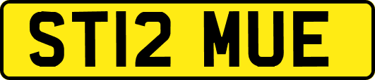 ST12MUE