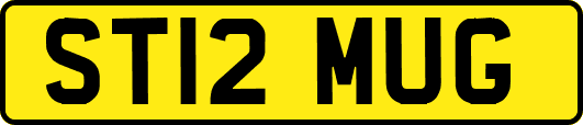 ST12MUG