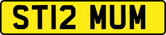 ST12MUM