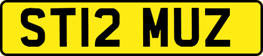 ST12MUZ