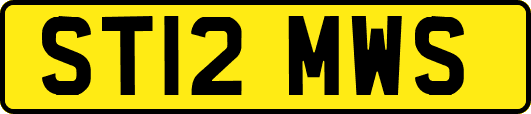 ST12MWS