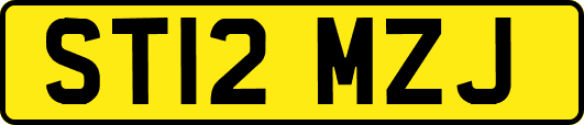 ST12MZJ