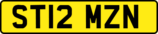 ST12MZN
