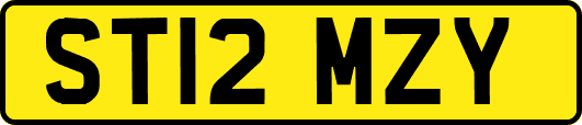 ST12MZY
