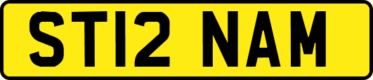 ST12NAM