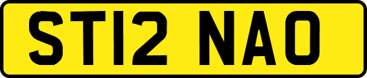 ST12NAO