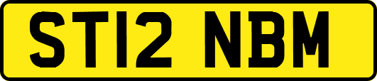 ST12NBM