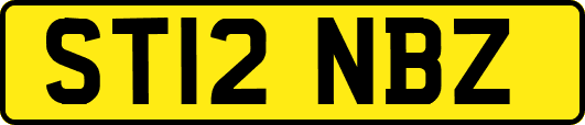 ST12NBZ