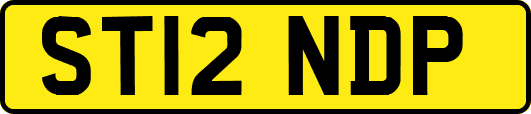 ST12NDP