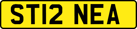 ST12NEA