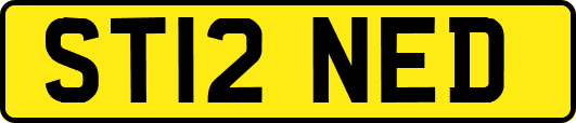ST12NED