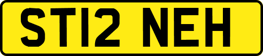 ST12NEH