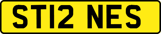 ST12NES