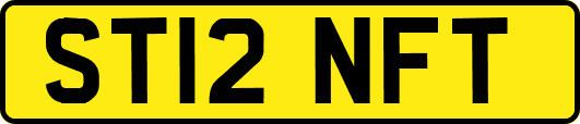 ST12NFT