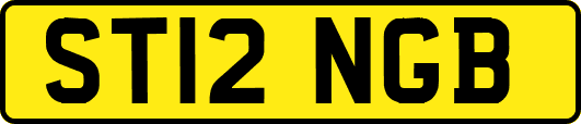 ST12NGB