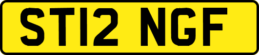 ST12NGF