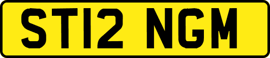 ST12NGM
