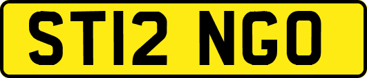ST12NGO