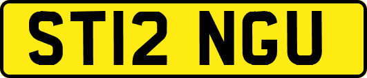 ST12NGU
