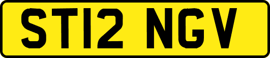 ST12NGV