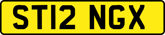 ST12NGX