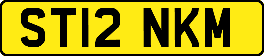 ST12NKM