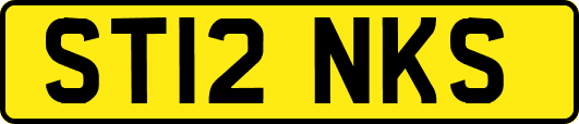 ST12NKS