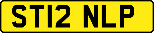 ST12NLP