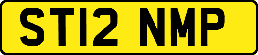 ST12NMP