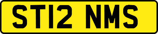ST12NMS