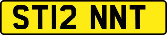 ST12NNT