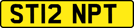 ST12NPT