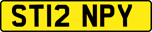 ST12NPY