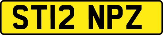 ST12NPZ