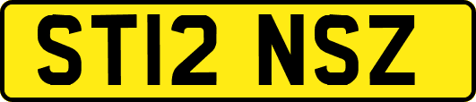 ST12NSZ