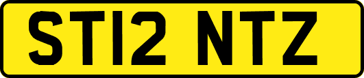 ST12NTZ