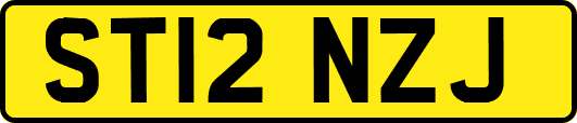 ST12NZJ