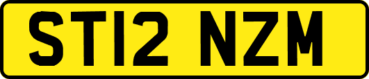 ST12NZM