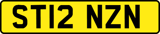 ST12NZN
