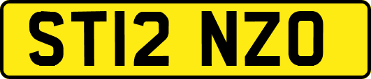 ST12NZO