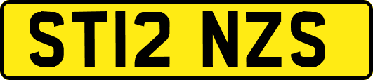 ST12NZS