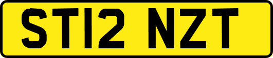 ST12NZT