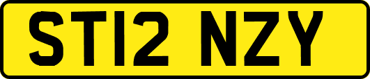 ST12NZY