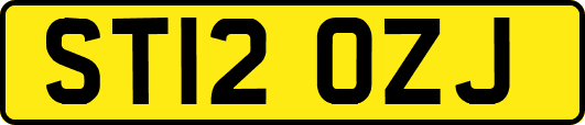 ST12OZJ