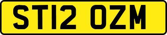 ST12OZM