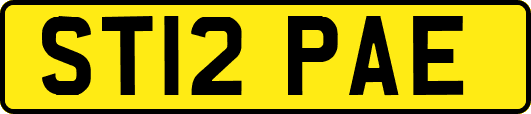 ST12PAE